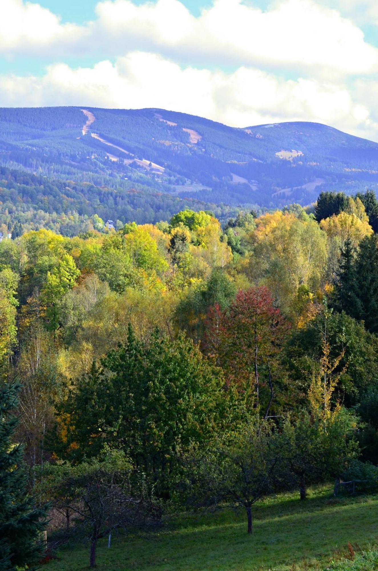 Vista 14 Daire Rokytnice nad Jizerou Dış mekan fotoğraf